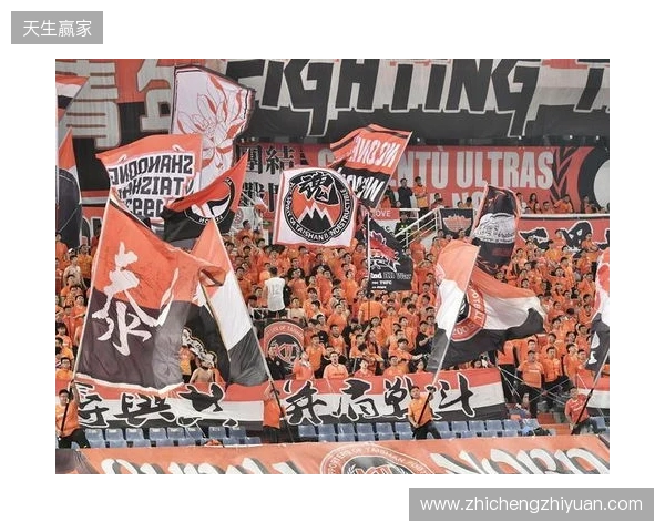 苗原谈泰山引援：账户里有200万水平购买力 但文旅决策尽量少花钱